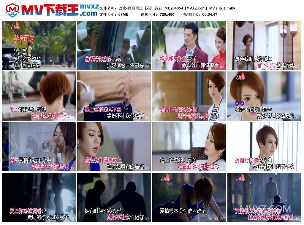 蓝玫-擦肩而过_国语_流行_MD204854